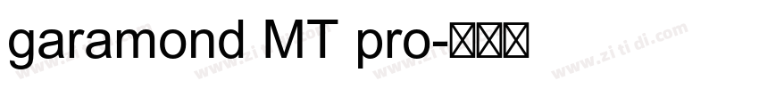 garamond MT pro字体转换